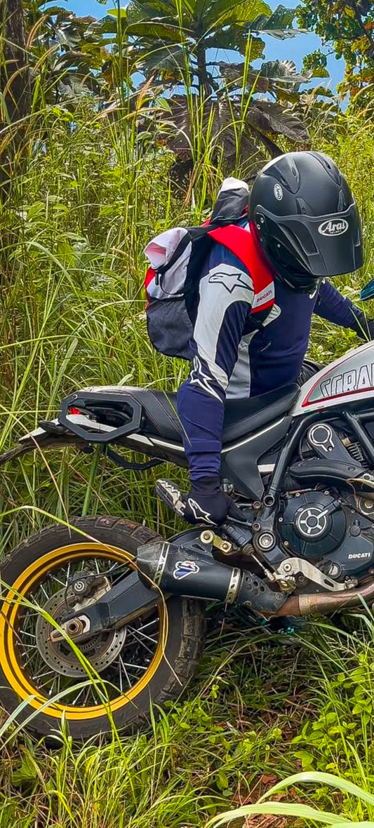 Ducati desert sled saddle stay